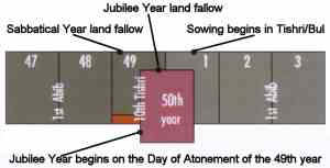 Jubilee year straddles sixmonths of 49th and 6 months first year of new cycle