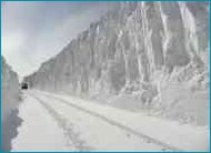global warming snow in Michigan January 2010