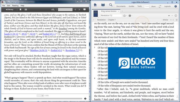 Logos Bible reference on Adobe DE PC display